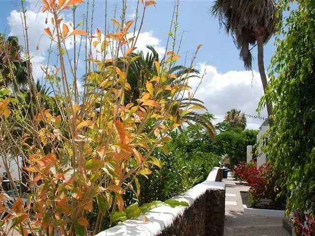 Guacimeta Apartamentos Puerto del Carmen